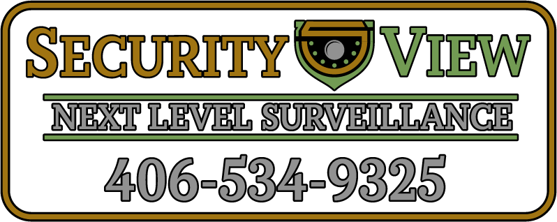 Security View | Next Level Surveillance | Logo